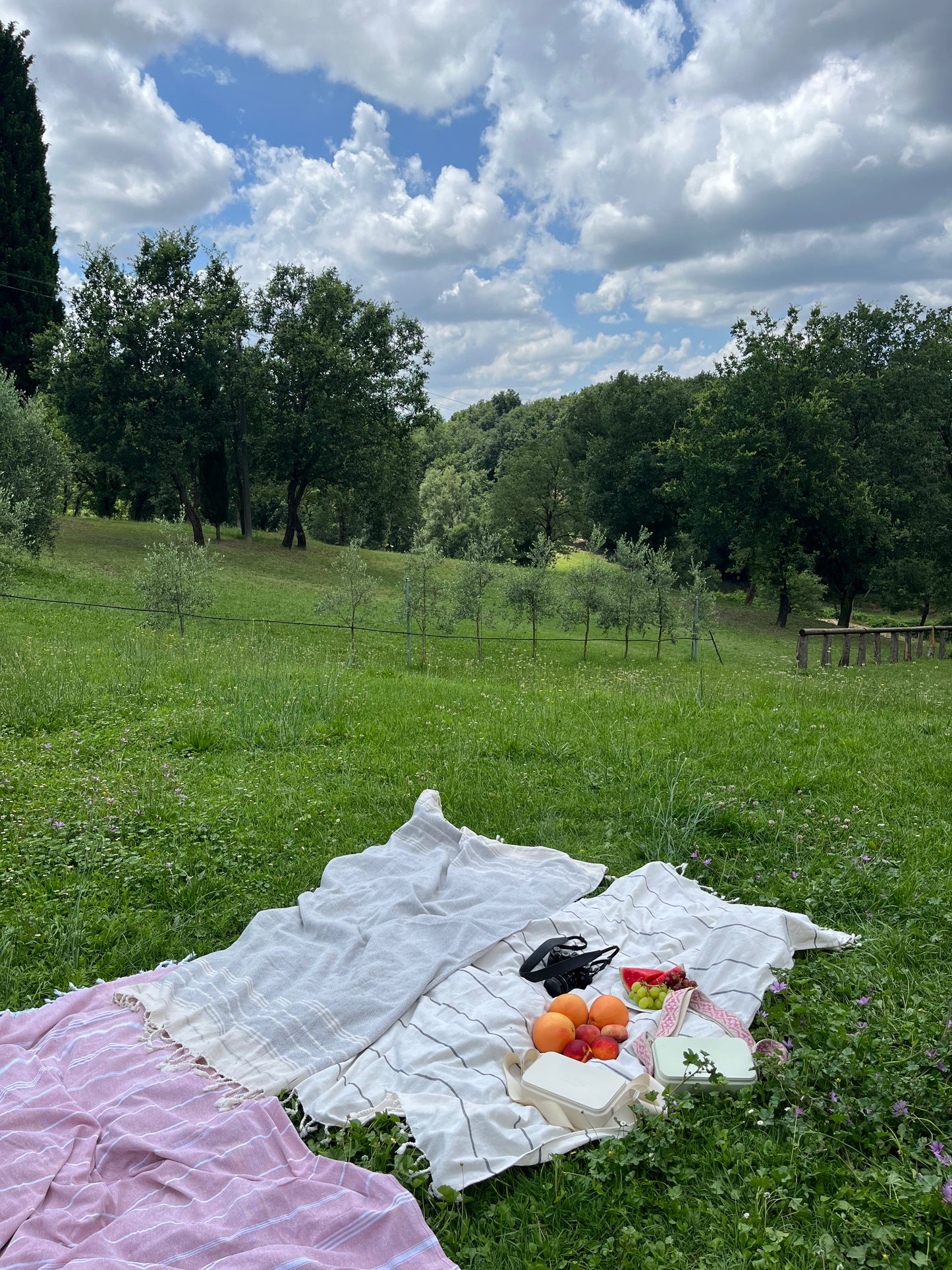 Beach Towel
